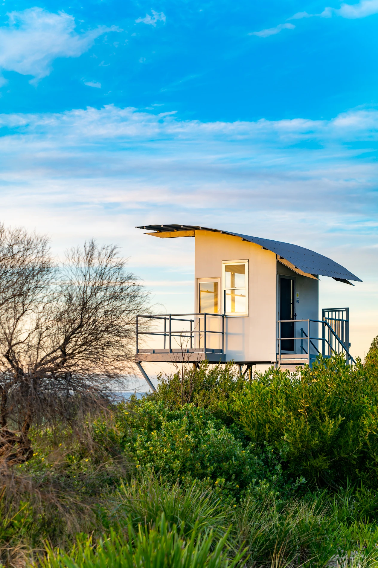 Small White Structure With Metal Roof And Railings Amid Green Shrubs, Next To Leafless Tree.