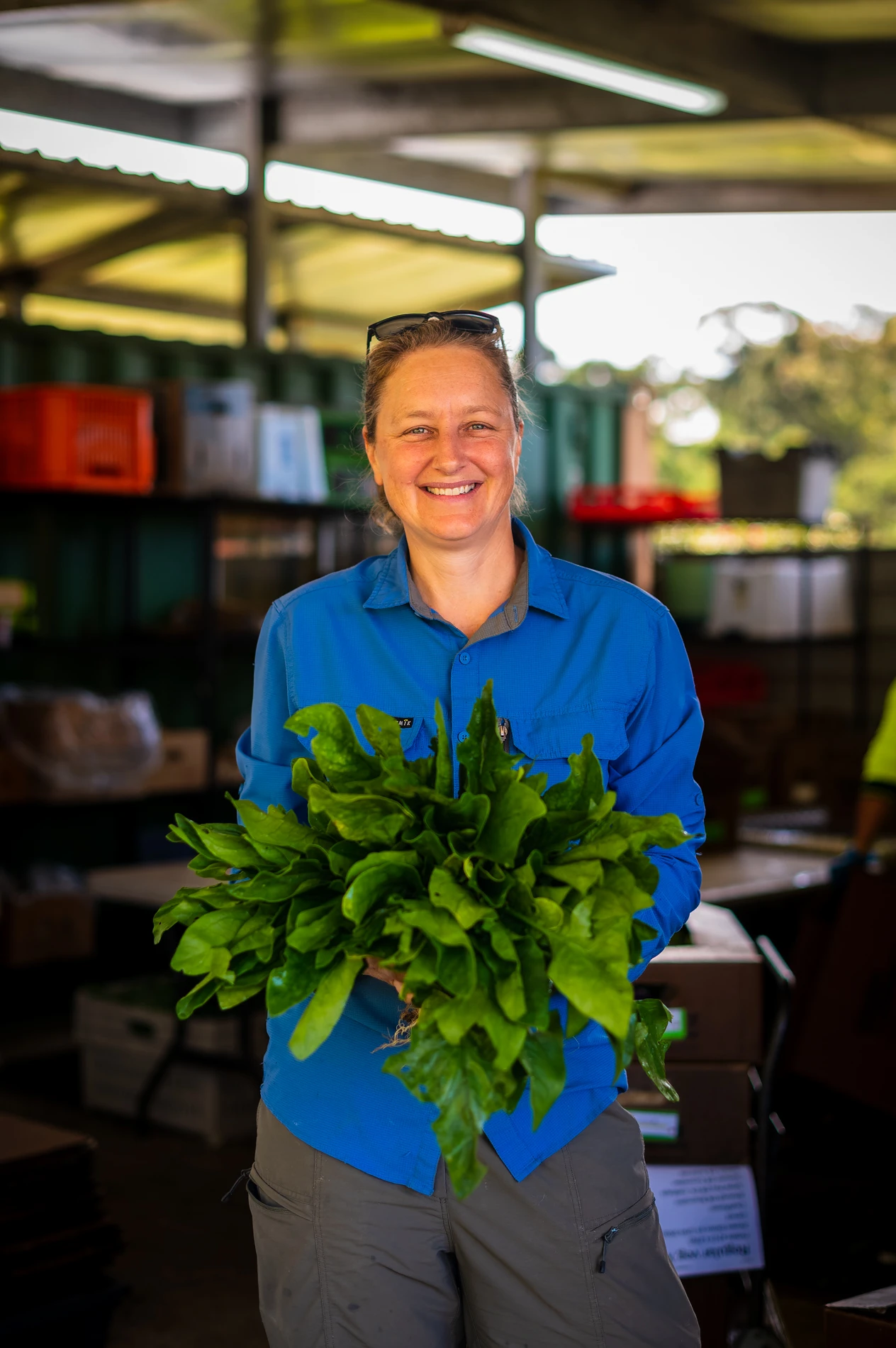 Galleries Green Connect Emily Farm Manager Smiling With Lettuce