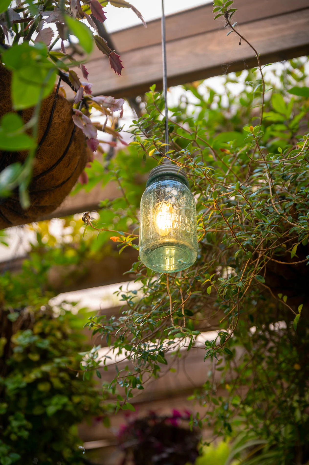 Hanging Lightbulb In A Glass Jar With Lush Foliage And Wooden Pergola In Background.