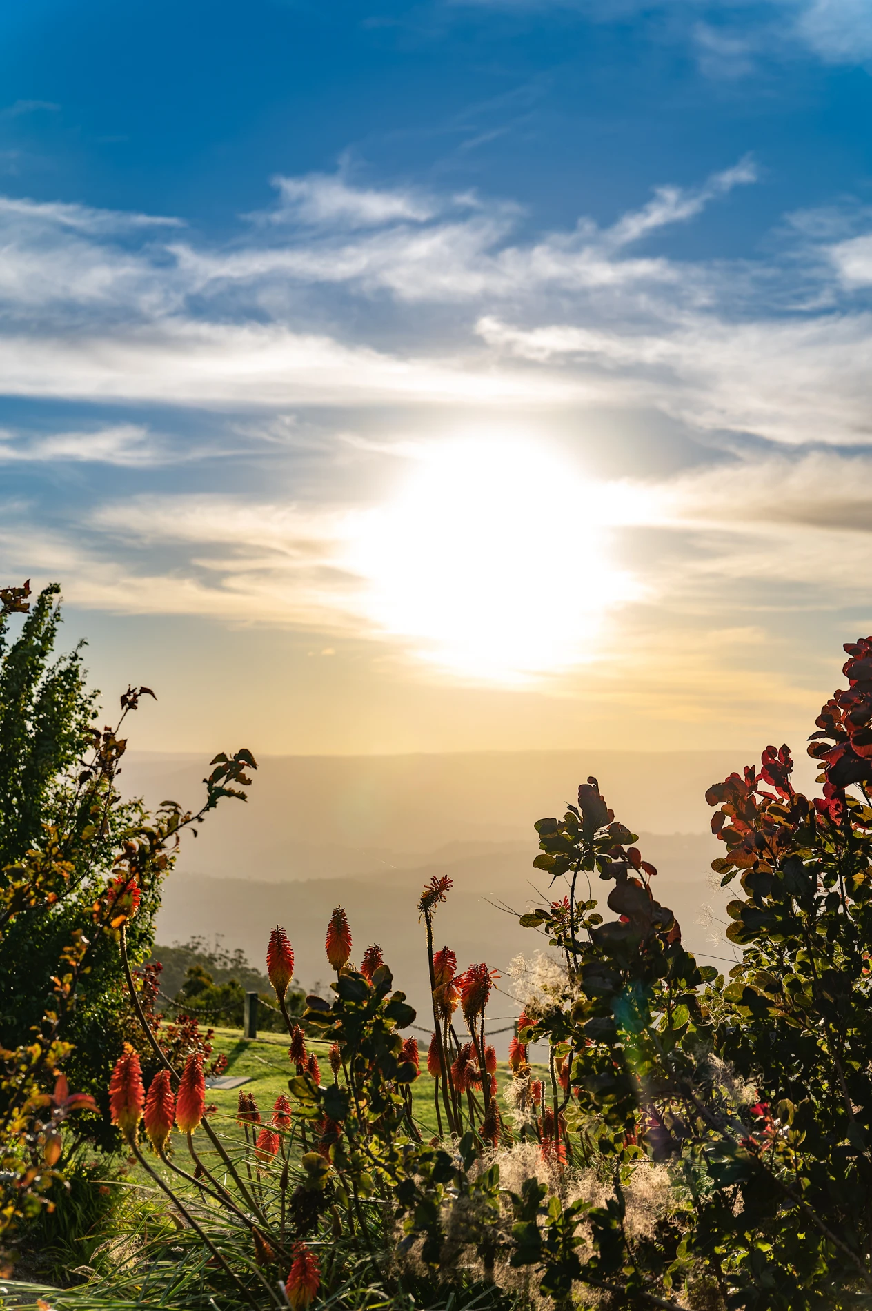 Sun Setting Over Hills, Illuminating A Garden With Red-Orange Flowers And Lush Greenery, Cloudy Sky.