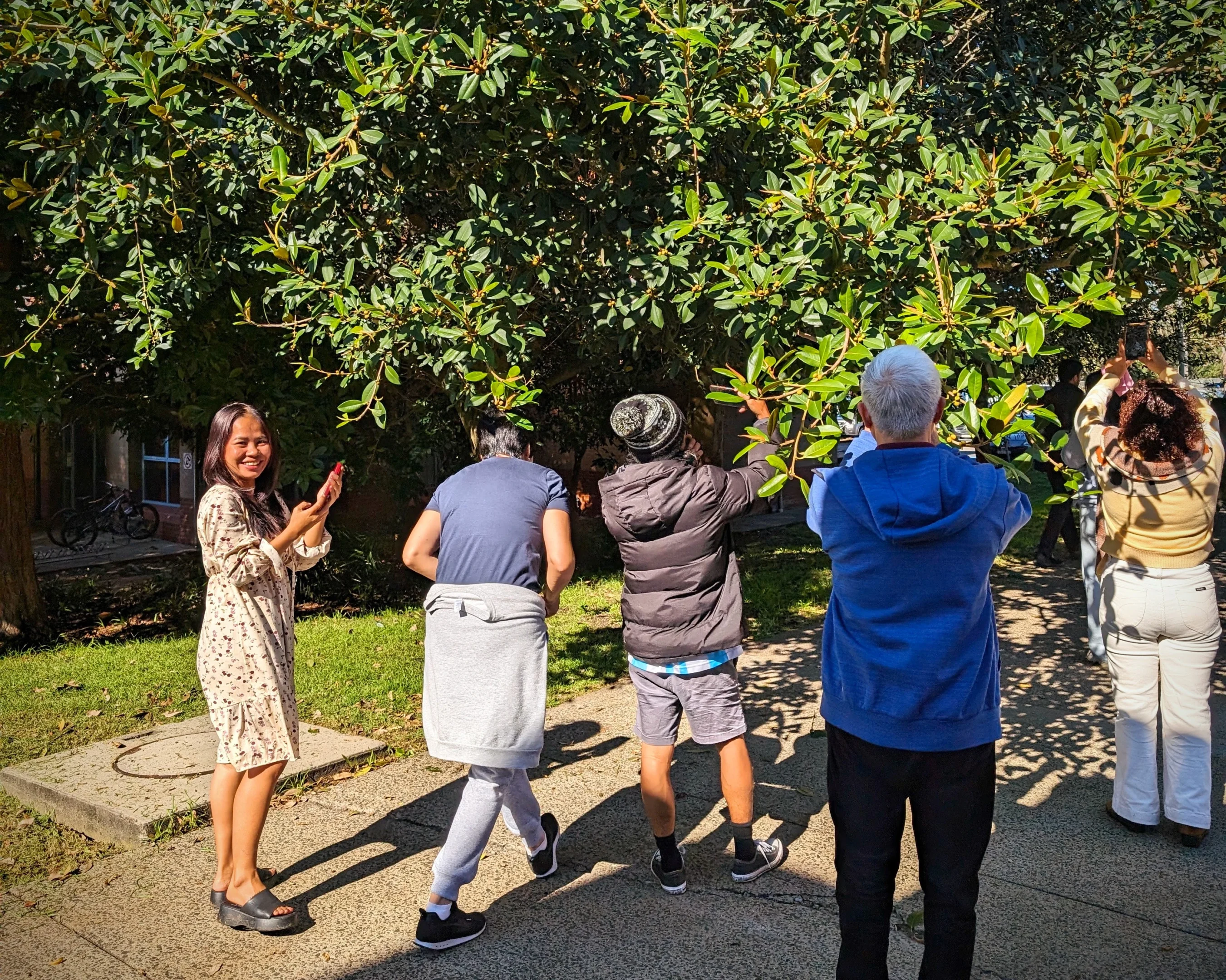 My Day At Tafe: Teaching Photography As A Volunteer With Illawarra Multicultural Services 5 People Observing A Tree In A Sunny Park, One Smiling Woman With Phone, Others Examining Branches.