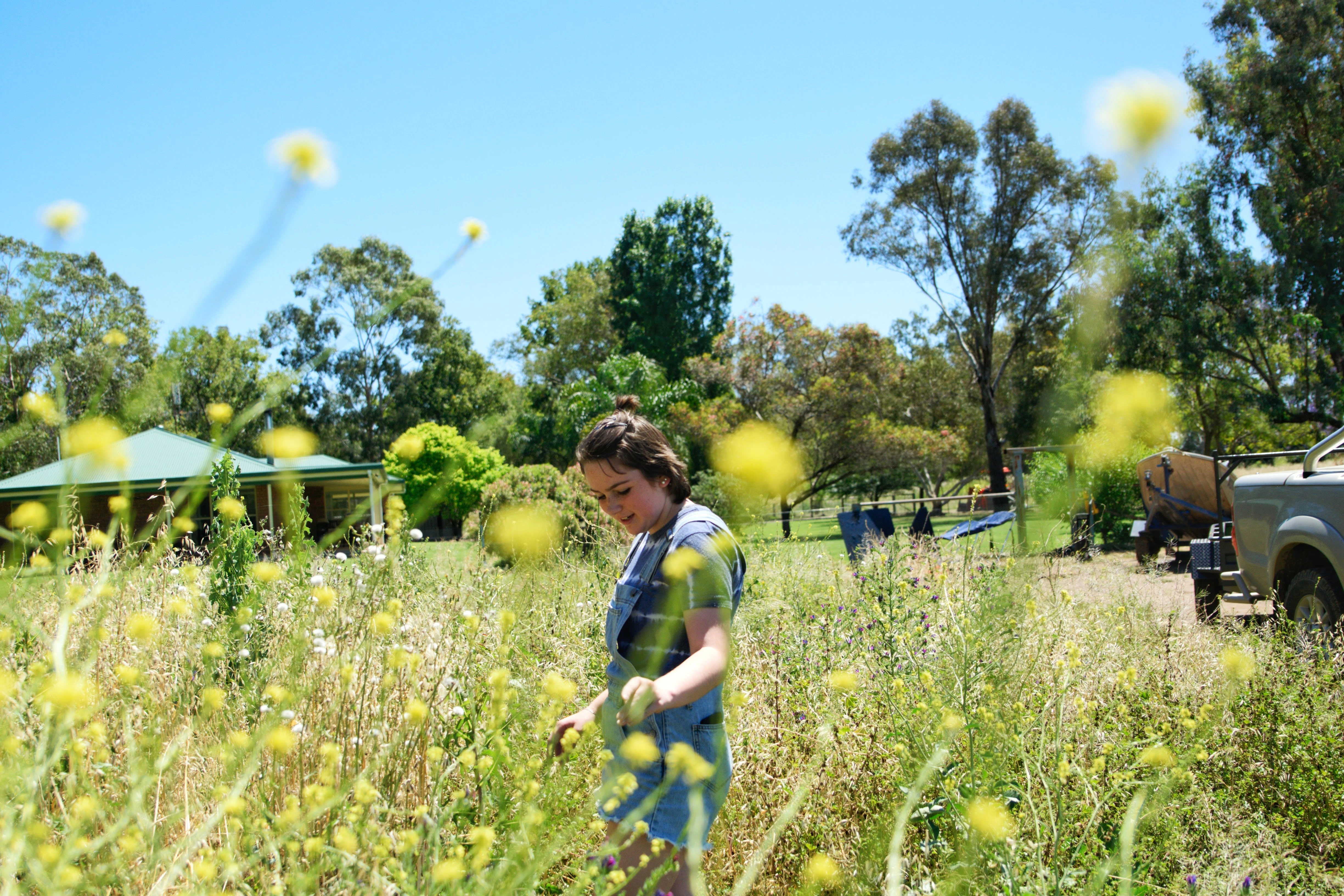 Person Amidst Wildflowers Near A Green-Roofed Building With Trees And A Parked Vehicle.